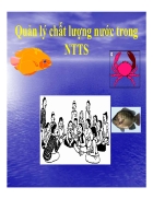 Quản lý chất lượng nước trong nuôi trồng thủy sản