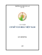 Giáo trình Cơ sở văn hóa Việt Nam