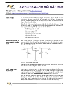 AVR Cho người mới bắt đầu