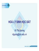 Hoá lý sinh học đất