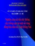 Nghiên cứu cải tiến hệ thống cây trồng cạn tại một số vùng đồng bào dân tộc tỉnh Đồng Nai