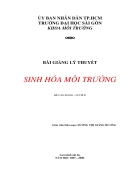 Sinh hóa môi trường