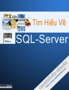 Sql server