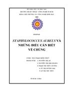 Staphylococcus aureus và những điều cần biết về chúng 58 trang