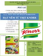 Phân tích kế hoạch marketing hạt nêm từ thịt knorr
