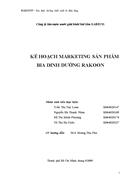 Kế hoạch marketing sản phẩm bia dinh dưỡng rakoon