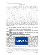 Tiểu luận Marketing công ti Nivea