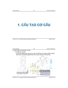 Bài tập ví dụ giáo án đầy đủ bài tập lớn về bộ môn nguyên lý máy