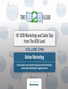 101B2B Marketing and Sales Tips from the B2B Lead