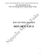 Bài tập trắc nghiệm hoá hữu cơ 11