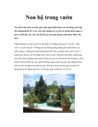 Non bộ trong vườn