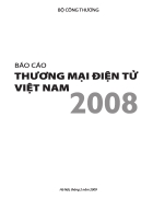 Báo cáo thương mại điện tử Việt Nam năm 2008