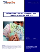 Thị trường tiền tệ Việt Nam 2011