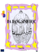 Da dang sinh hoc tai vuon quoc gia Bach Ma