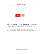 Tổng quan về các hoạt động của wto liên quan đến thương mại điện tử