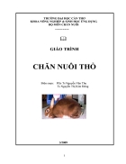 Giáo trình chăn nuôi thỏ