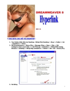 Dreamweaver 8 Hyperlink