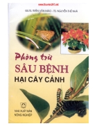 Phòng trừ sâu bệnh hại cây cảnh