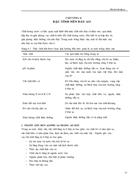 Chương 4 Đặc tính nền đáy ao