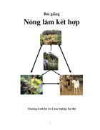 Bài giảng Nông lâm kết hợp