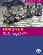 Rừng và lũ