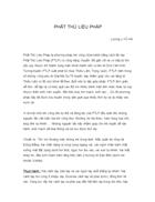 Phật thủ liệu pháp