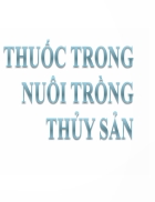 Thuốc trong nuôi trồng thủy sản