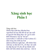 Xăng sinh học Phần I