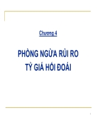 Phong ngua rui ro ty gia hoi doai