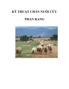 Kỹ thuật chăn nuôi cừu phan rang