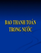 Bao thanh toán trong nước