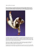 Lãnh đạo kiểu judo và karate