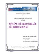 Phản ứng theo cơ chế gốc của hydrocacbon no