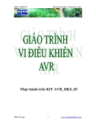 Giáo trình Vi điều khiển AVR dks group