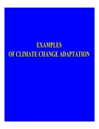 Exampless climate change adaptation