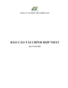 Báo cáo tài chính Quý 2 2009 của FPT Telecom