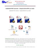 AnyBizSoft PDF Converter