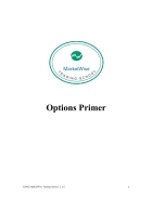 Options Primer Marketwise Trading School 2002 pdf