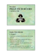 Phân tích rủi ro