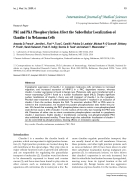 Báo cáo y học PKC and PKA Phosphorylation Affect the Subcellular Localization of Claudin 1 in Melanoma Cells