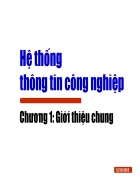 Hệthống thông tin công nghiệp12