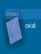 Chỉ số chỉ số thời gian 1