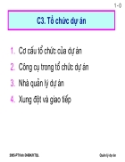 Tổ chức dự án