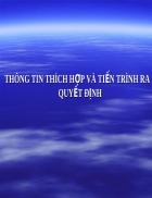 Thông tin thích hợp và tiến trình ra quyết định