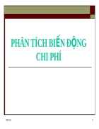 Phân tích biến động chi phí