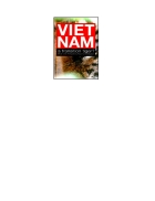 VIET NAM a transition tiger