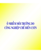 Công nghệ cao su Ô NHIỄM MÔI TRƯỜNG DO CÔNG NGHIỆP CHẾ BIẾN CSTN