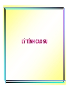 Công nghệ cao su LÝ TÍNH CAO SU