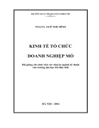 Bài giảng Kinh tế tổ chức doanh nghiệp mỏ