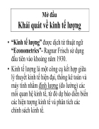 Khái quát về kinh tế lượng